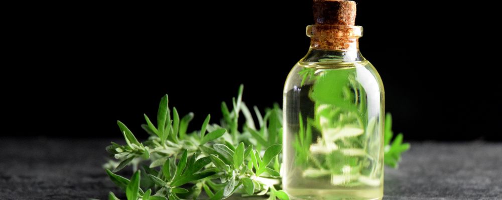 Absinth